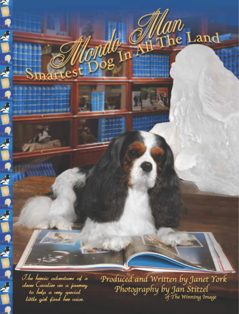 Cover image for book Mondo Man Smartest Dog In All The Land