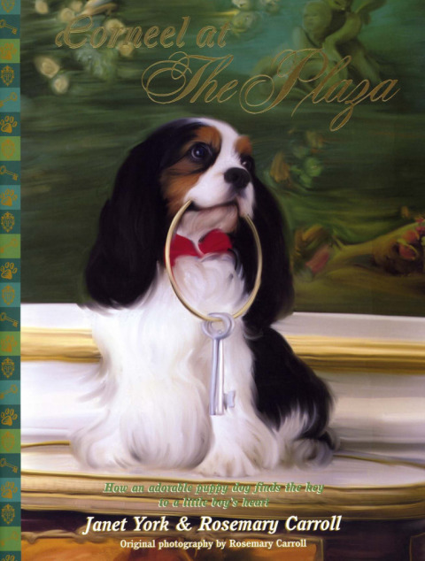 Cover image for book Corneel at The Plaza