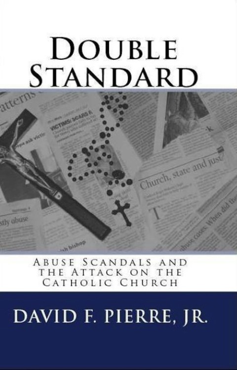 Cover image for book Double Standard: Abuse Scandals and the Attack on the Catholic Church