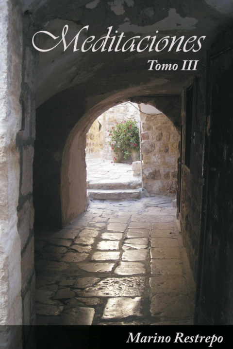 Cover image for book Meditaciones, Tomo III
