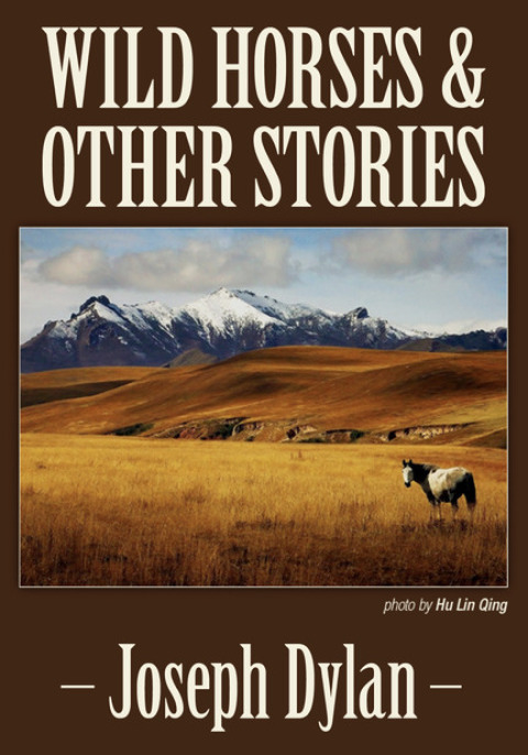 Cover image for book Wild Horses and Other Stories