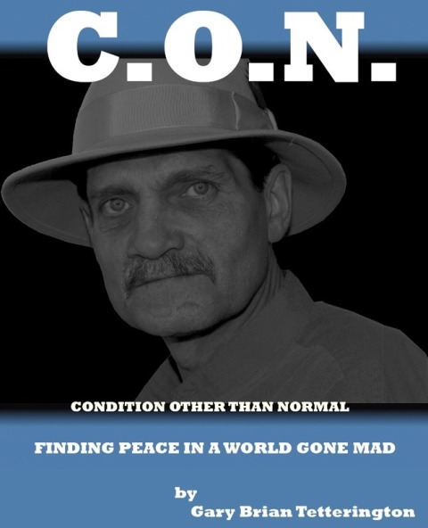 Cover image for book Condition Other Than Normal: Finding Peace In a World Gone Mad