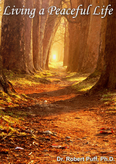 Cover image for book Living a Peaceful Life