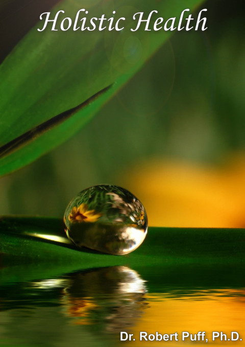 Cover image for book Holistic Health