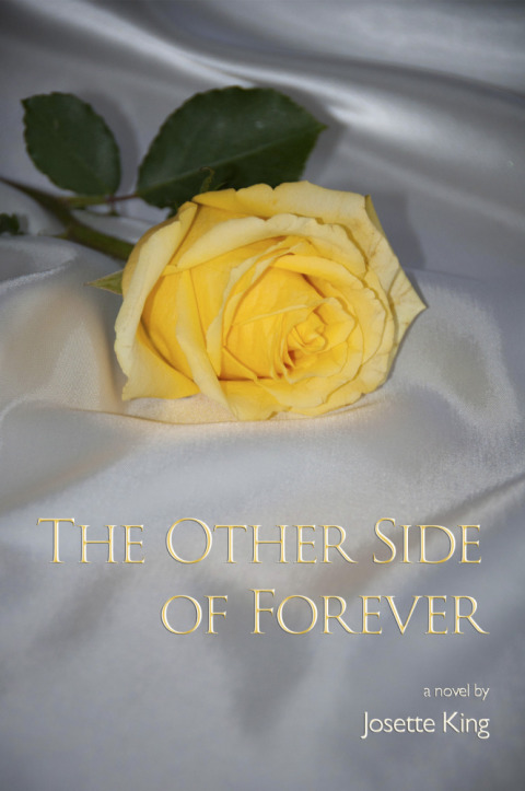 Cover image for book The Other Side of Forever