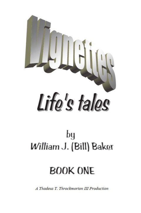 Cover image for book Vignettes - Life's Tales  Book One