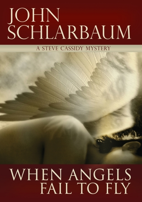 Cover image for book When Angels Fail To Fly