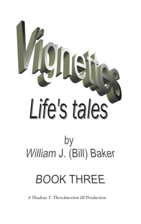Cover image for book Vignettes - Life's Tales  Book Three