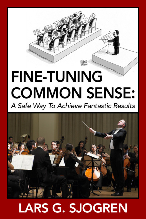 Cover image for book Fine-Tuning Common Sense: A Safe Way To Achieve Fantastic Results