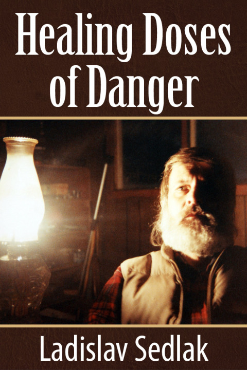 Cover image for book Healing Doses of Danger