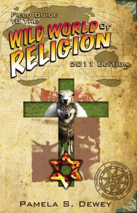 Cover image for book Field Guide to the Wild World of Religion: 2011 Edition