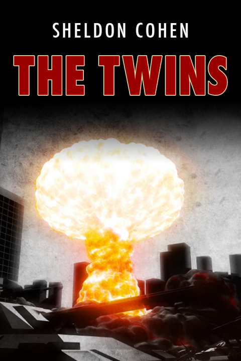 Cover image for book The Twins