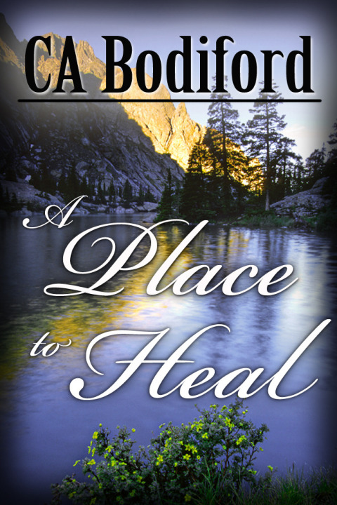 Cover image for book A Place to Heal