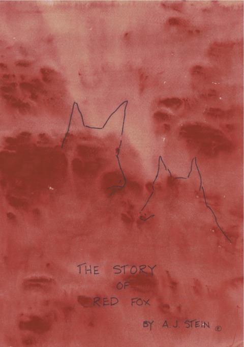 Cover image for book The Story of Red Fox