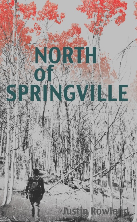 Cover image for book North of Springville