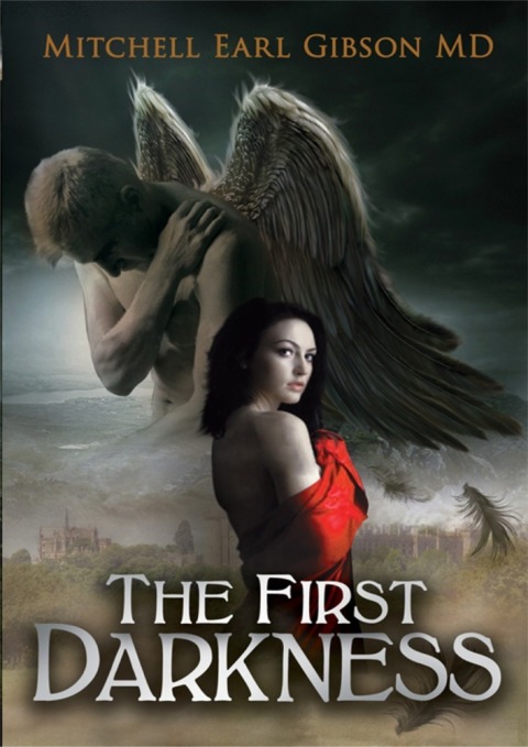 Cover image for book The First Darkness