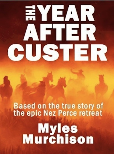 Cover image for book The Year After Custer