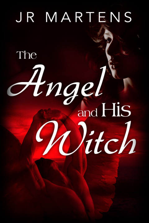 Cover image for book The Angel and His Witch