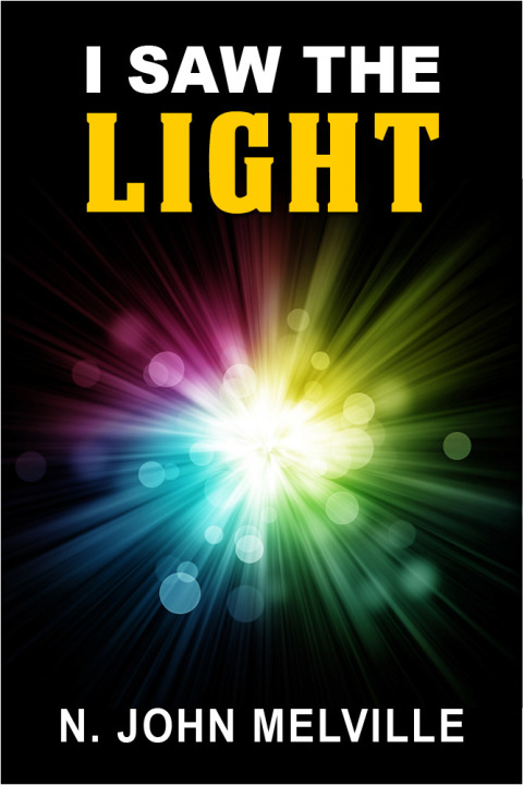 Cover image for book I Saw The Light