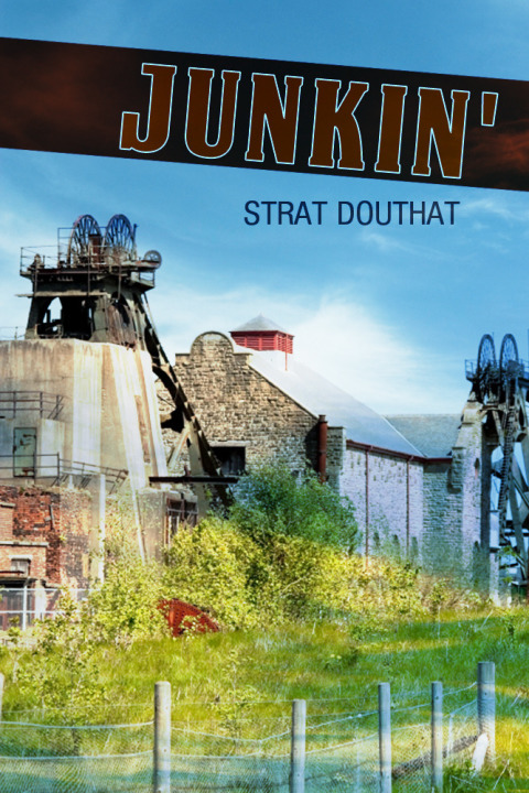 Cover image for book Junkin'