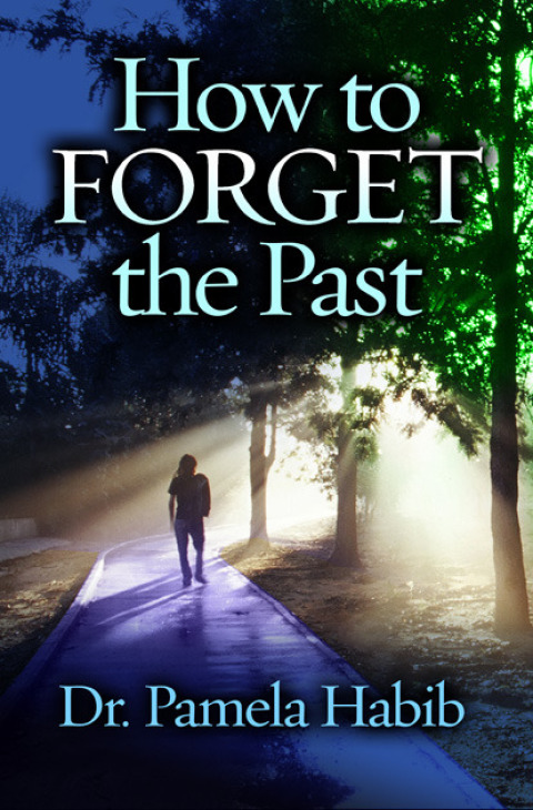Cover image for book How to Forget the Past