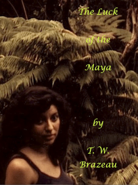 Cover image for book The Luck of the Maya