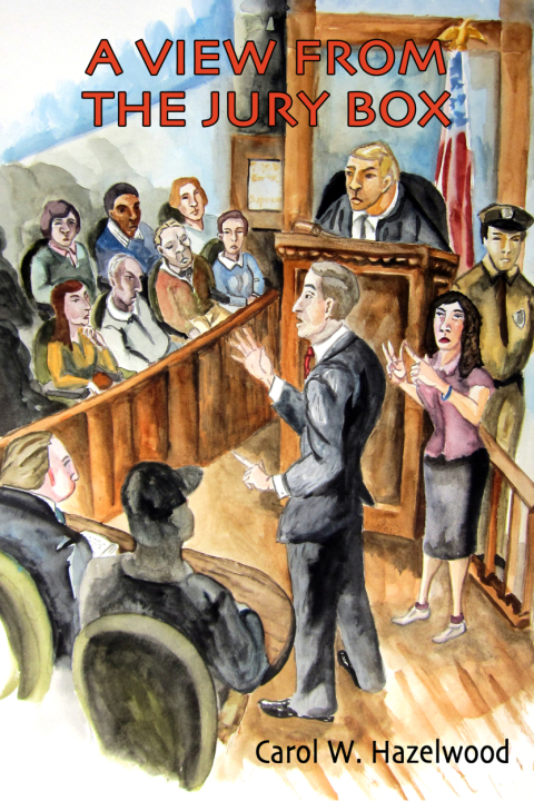 Cover image for book A View from the Jury Box