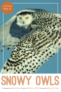 Imagen de portada: A Picture Book of Snowy Owls
