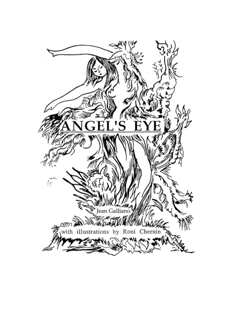 Cover image for book Angel's Eye