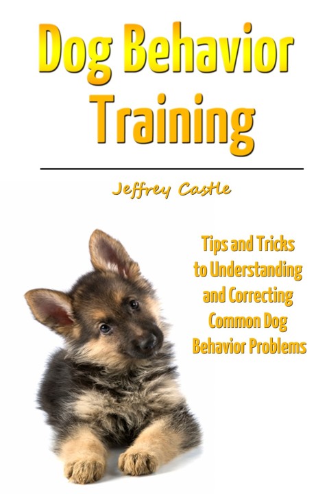 Cover image for book Dog Behavior Training: Tips and Tricks to Understanding and Correcting Common Dog Behavior Problems