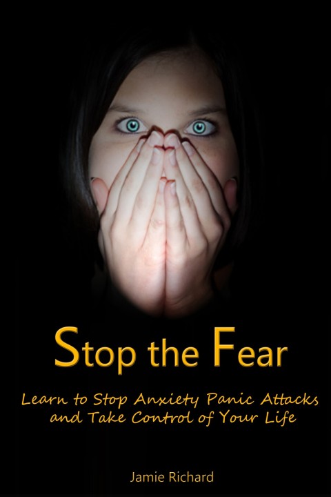 Cover image for book Stop the Fear: Learn to Stop Anxiety Panic Attacks and Take Control of Your Life