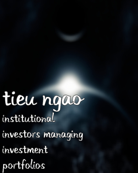 Cover image for book Institutional Investors Managing Investment Portfolios