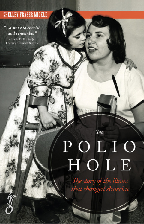 Cover image for book The Polio Hole