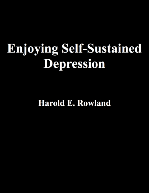 Cover image for book Enjoying Self-Sustained Depression