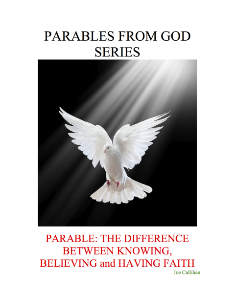 Cover image for book Parables from God Series - Parable: The Difference Between Knowing, Believing, and Having Faith