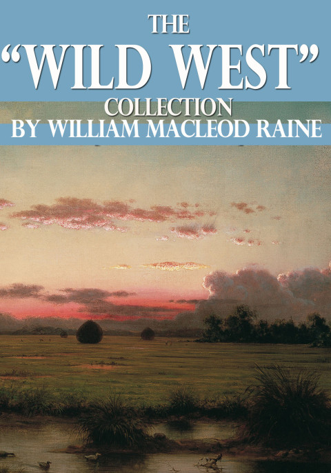 Cover image for book The "Wild West" Collection