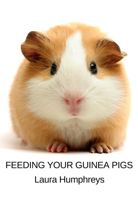 Cover image for book Feeding Your Guinea Pigs