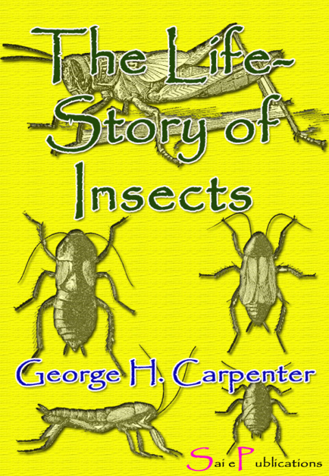 Cover image for book The Life-Story of Insects