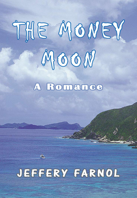 Cover image for book The Money Moon: A Romance