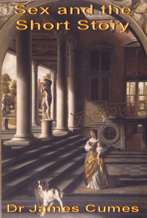 Cover image for book Sex and the Short Story