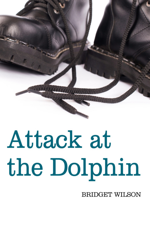 Cover image for book Attack at the Dolphin