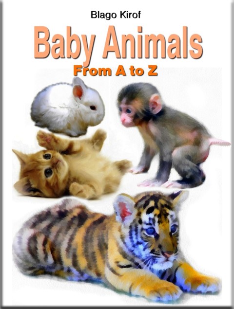 Cover image for book Baby Animals From A to Z