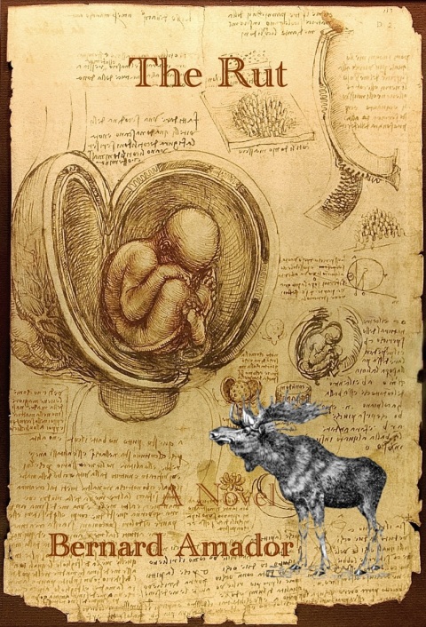 Cover image for book The Rut