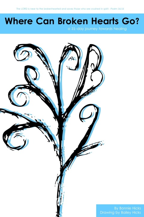 Cover image for book Where Can Broken Hearts Go?