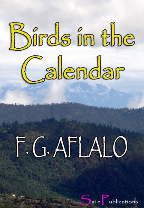 Cover image for book Birds In the Calendar