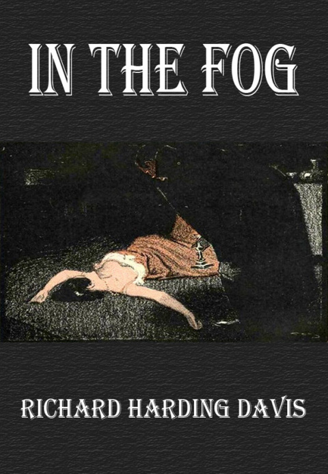 Cover image for book In the Fog