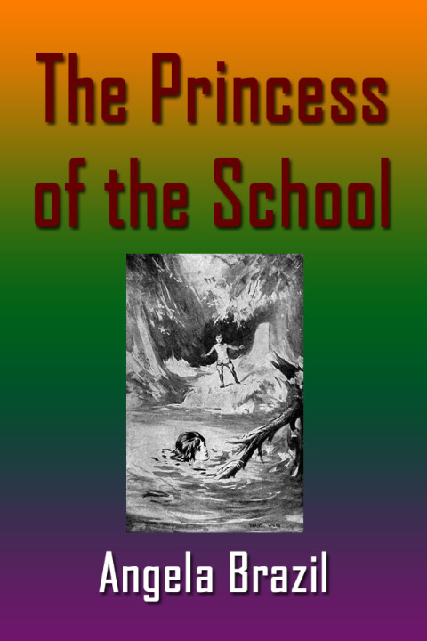 Cover image for book The Princess of the School