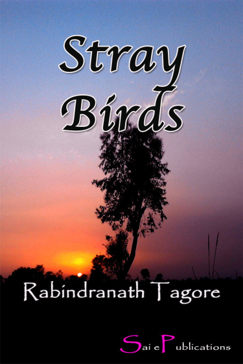 Cover image for book Stray Birds