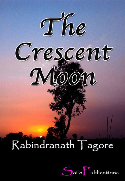 Cover image for book The Crescent Moon