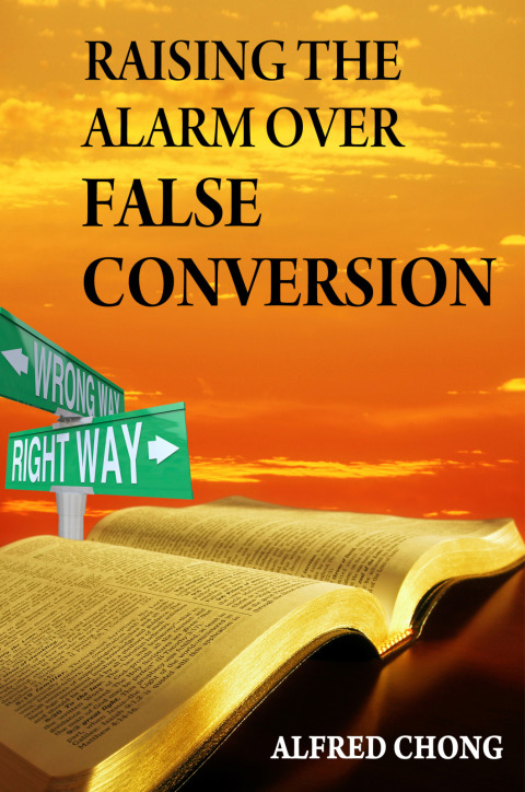 Cover image for book Raising the Alarm Over False Conversion